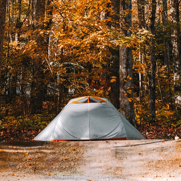 bivouac en automne